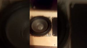 Пытаемся восстановить советскую колонку radiotechnika s-30B