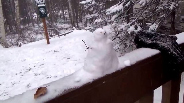 #482 США Аляска Анкоридж Здравствуй зимушка зима Утепляюсь Закупаю дрова смотреть онлайн