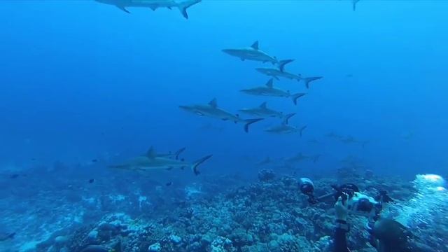 Духовная мантра. смотреть онлайн