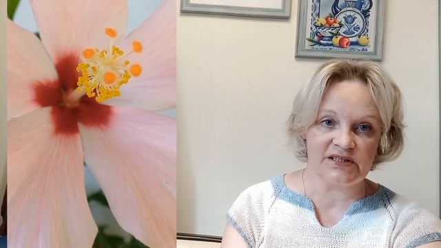 ГОТОВ джемпер"Шоколад"(лён+пайетки на хлопке)/фантазии в носках/Купила пряжу/А на спицах...? смотреть онлайн