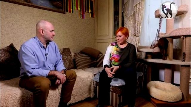 Абиссинская кошка, возможно, прародитель всех кошек на земле смотреть онлайн
