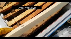 Как узнать когда давать вощину. - Когда ставить вощину пчелам весной.