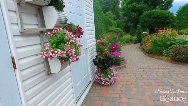 La passion de Céline et Gaston pour les fleurs(Hier@Aujourd`hui) смотреть онлайн