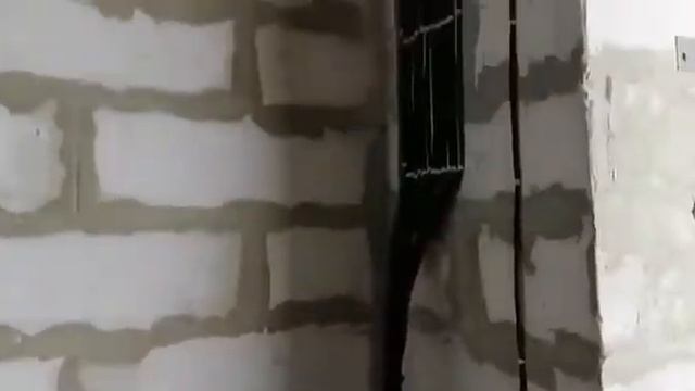 14 июня 2022 г.