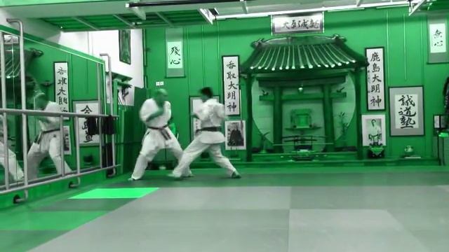 Bitran Martial Arts - Seido Karate