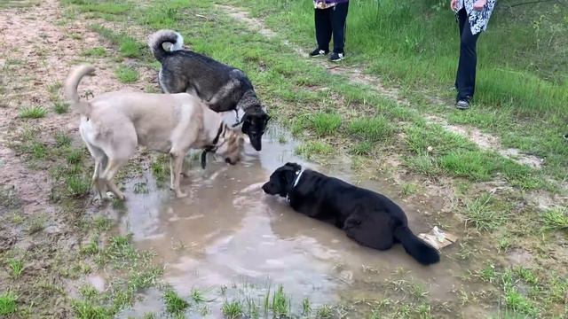 Малуша охлаждается смотреть онлайн