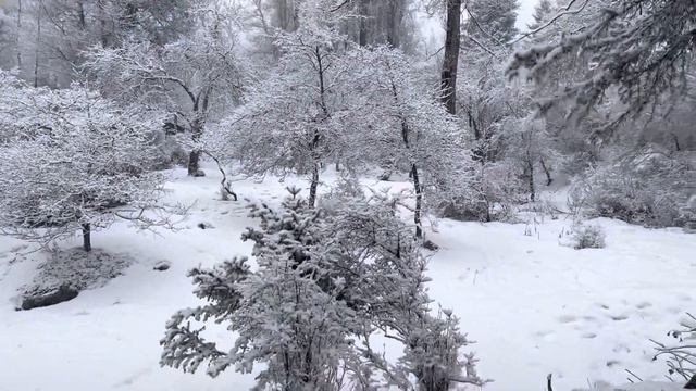 Kazakhstan. Almaty. Snow. Алматы. Наша карантинная зима. смотреть онлайн