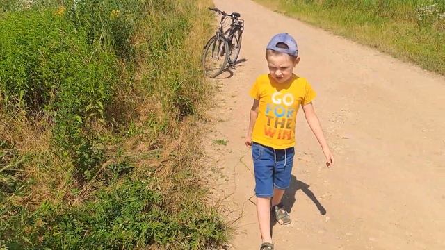 Растительный мир Кубани ! ЗВЕРОБОЙ !!! смотреть онлайн