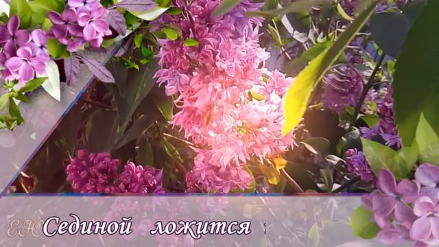Поздравление с днем матери смотреть онлайн