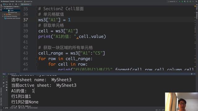 [程序员小飞]如何使用Openpyxl处理excel的单元格数值、遍历等操作 смотреть онлайн