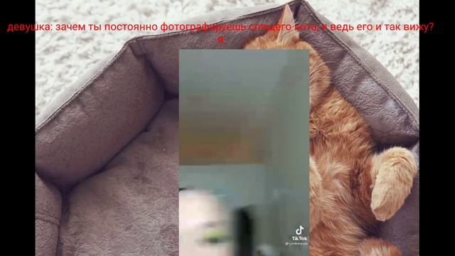 а я хочу показать это всему миру (Инстасамка) смотреть онлайн