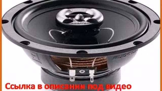 Focal Auditor R-165C