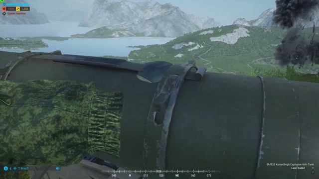 Flyswatting with the Kornet смотреть онлайн