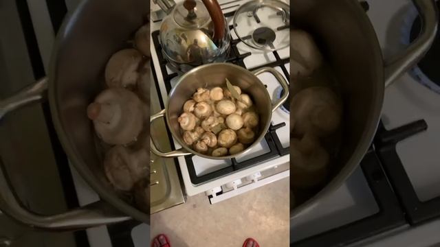 Маринованные шампиньоны ?