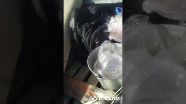 Карась больной на Или((( черви смотреть онлайн