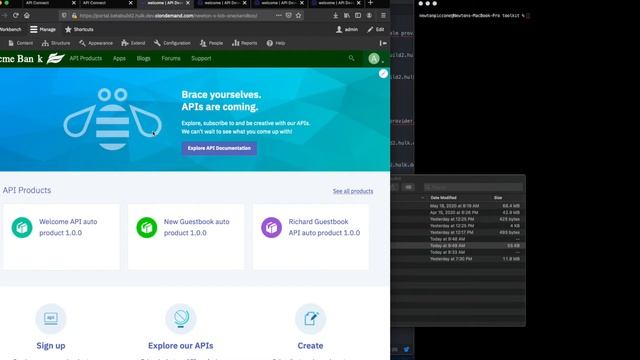 Automating Developer Portal Customizations смотреть онлайн
