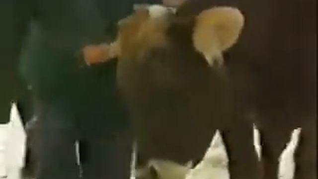 Чартаев. Часть 8 смотреть онлайн