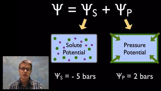Water Potential смотреть онлайн