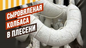 Фуэт, Фелино, Финоккьона - сыровяленые колбасы в плесени. Сериал "Давайте вялить вместе!". Серия 2.
