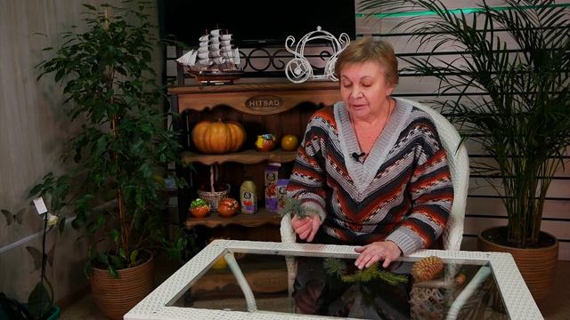 Ель голубая и ель зеленая ? От чего зависит цвет растения? ? Прямой эфир смотреть онлайн
