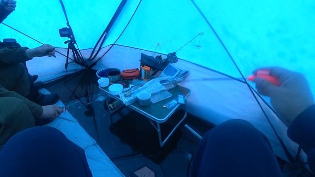 Куча окуня, рыбалка на Братском. смотреть онлайн