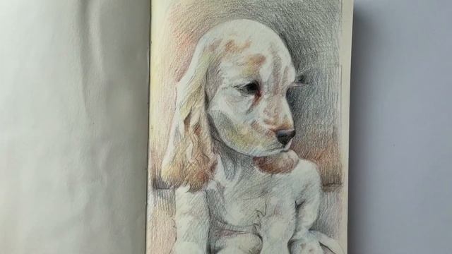 Цветные карандаши из Fix Price | Обзор рисунков смотреть онлайн