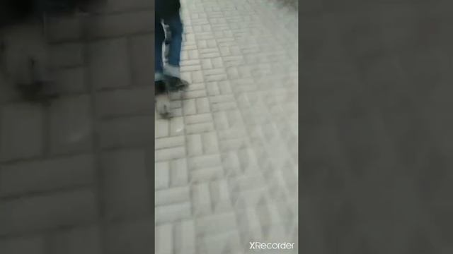 street на самокате смотреть онлайн