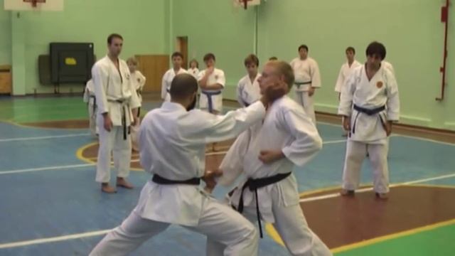 Shotokan Kata: Empi (standard KWF) by Mourad Saihia (part 2) смотреть онлайн