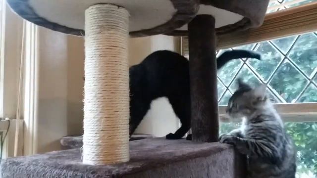 Dot & Slash смотреть онлайн