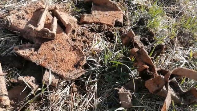 ДЕНЬ ТРАКОВ И ЛЕМЕХОВ. ХОРОШИЙ КОП МЕТАЛЛА.КОП С МЕТАЛЛОИСКАТЕЛЕМ MINELAB GO-FIND 44.