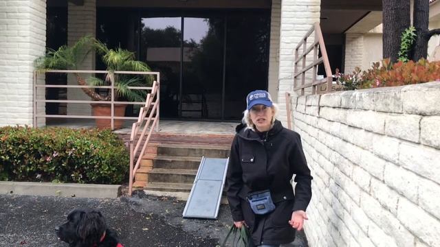 How to Ramp Train your Large Breed Dog - Service Dog Tricks - Train Dog for the Car смотреть онлайн