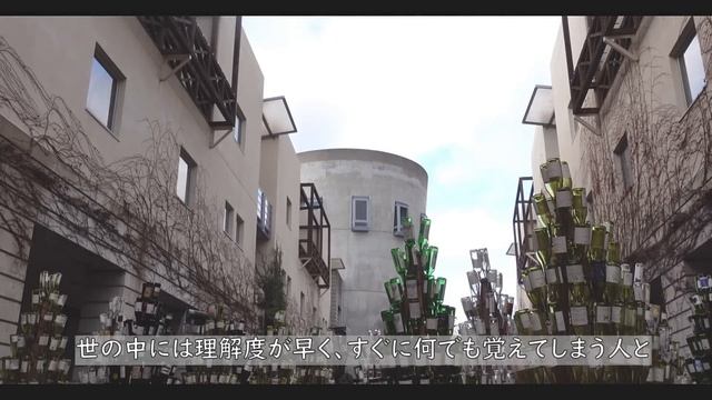 【クリスマスの八ヶ岳南麓】#91 清里、リゾナーレ八ヶ岳、そして我が家のクリスマス/人生物語「恐れの気持ちから心穏やかな日々へ」/クリスマスの猫たち/60代/一人暮らし/田舎暮らし