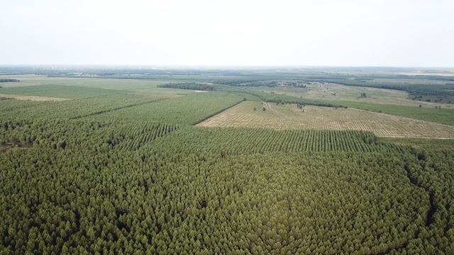 44,-1 (Nouvelle-Aquitaine region of France) смотреть онлайн