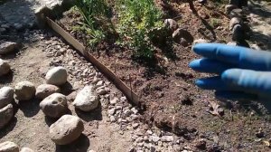 Каменный бордюр для клумбы.Часть 1