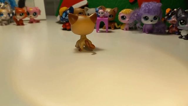 Обзор коллекции моих петов 🎀👍♥️Часть 2 смотреть онлайн