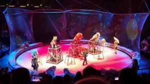 Цирк братьев Запашных. Шоу "Страшная сила". 2023.01.03. Тигры