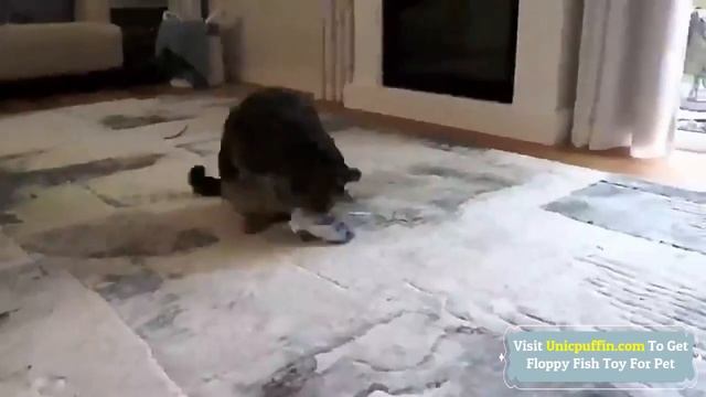 Floppy Fish Interactive Dog Toy Review 2021 - Floppy Fish Cat Toy смотреть онлайн
