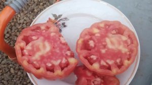 Гигант Фарина, дегустация.