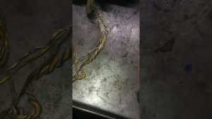 основная проблема робот форд фьюжн и фиеста. ркпп. изитроник.