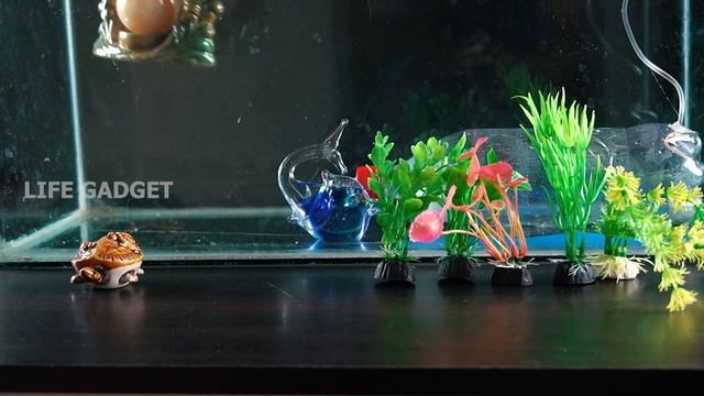 Free Energy - Aquarium with Automatic water pump - No Electricity смотреть онлайн