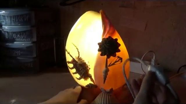 Лампа из ракушки смотреть онлайн