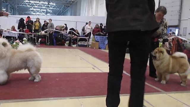 MVI 1519 смотреть онлайн