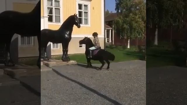 Пони жеребцует на статую лошади. смотреть онлайн
