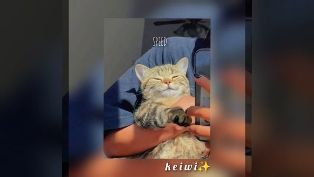 Супер подборка ваушных треков осени 2023? (Музыка для флешмоба)