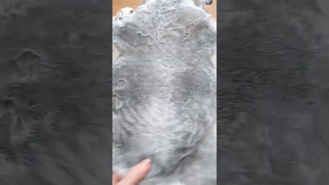 шкурки каракуля смотреть онлайн