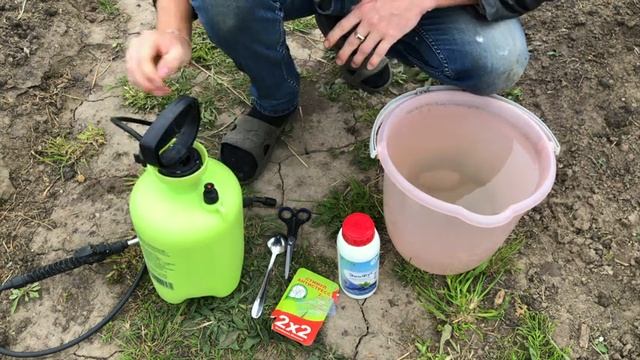 РОЗЫ ПОБИЛО МОРОЗОМ? ЕСТЬ РЕШЕНИЕ! КАК ПОМОЧЬ РОЗАМ ВЕСНОЙ. УДОБРЕНИЕ, КОТОРОЕ СПАСЁТ ВАШИ РОЗЫ. смотреть онлайн