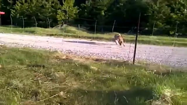 ДОБРЫЕ ПОСТУПКИ, О КОТОРЫХ ДОЛЖЕН ЗНАТЬ КАЖДЫЙ! смотреть онлайн