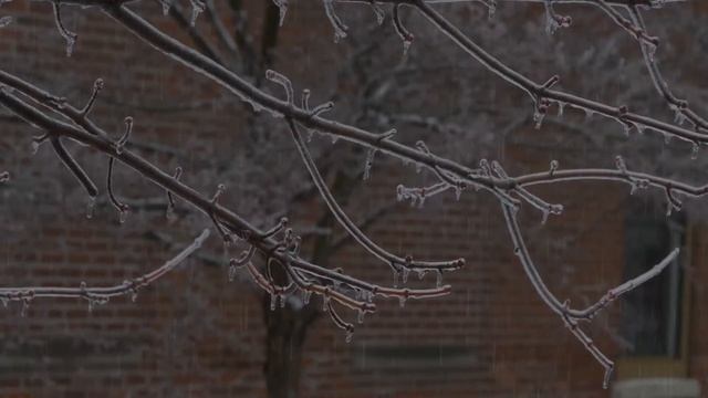 В. Цыганова – Гроздья рябины смотреть онлайн