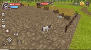 НОВЫЕ ПИТОМЦЫ в WILDCRAFT, ЧТО ЕЩЕ БУДЕТ В ОБНОВЛЕНИИ ВИЛД КРАФТ Симулятор Волка #63