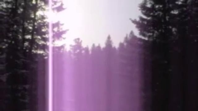 северные олени